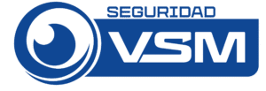 VSM SEGURIDAD
